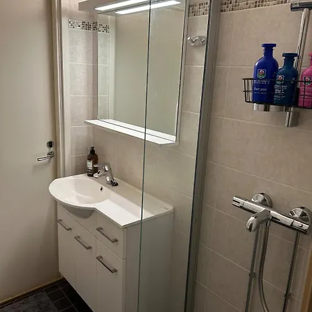 Cozy 2-room Flat With Sauna And Work Desk *